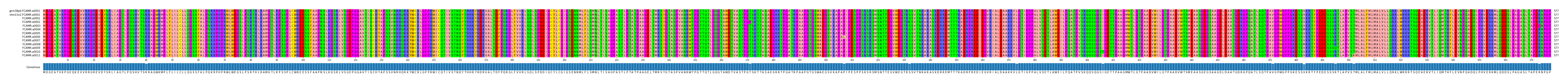 Multiple Alignments (by translate haplotype frequency)