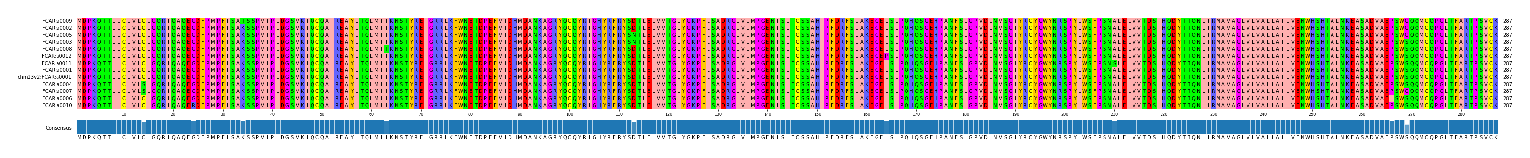 Multiple Alignments (by translate haplotype similarity)