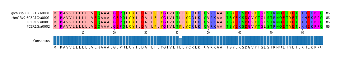 Multiple Alignments (by translate haplotype similarity)