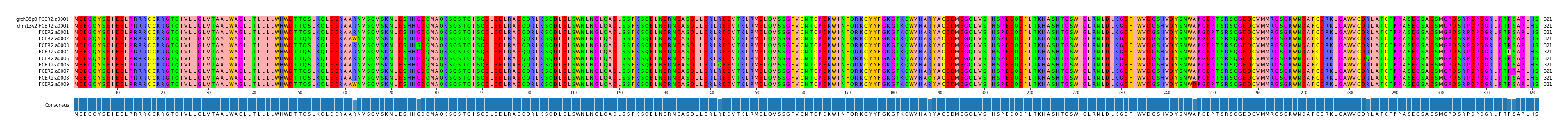 Multiple Alignments (by translate haplotype frequency)