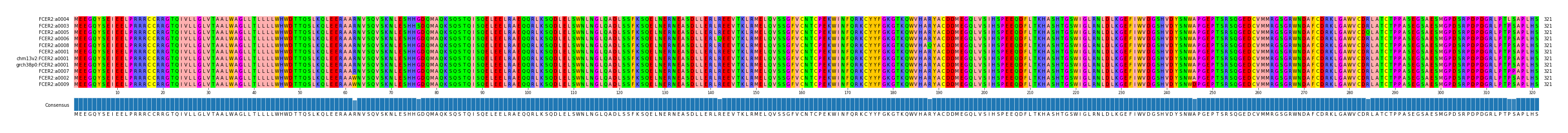 Multiple Alignments (by translate haplotype similarity)