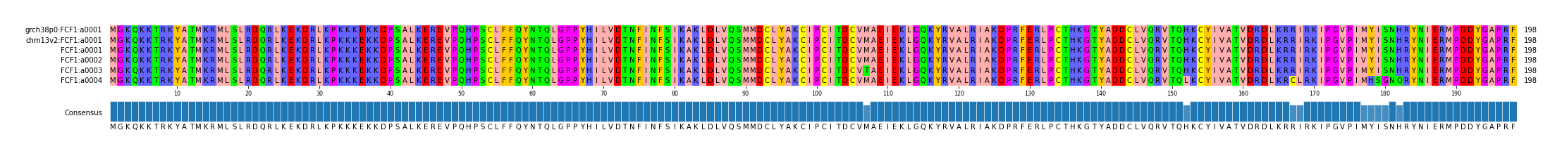 Multiple Alignments (by translate haplotype frequency)