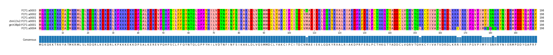 Multiple Alignments (by translate haplotype similarity)