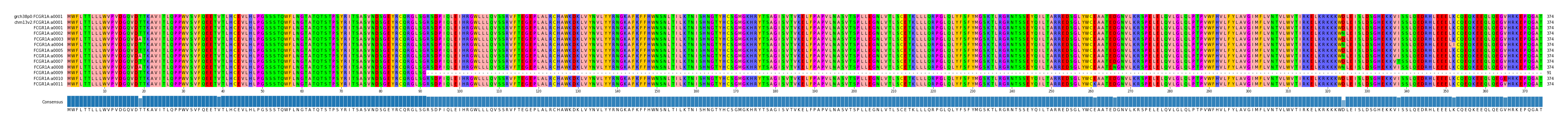 Multiple Alignments (by translate haplotype frequency)