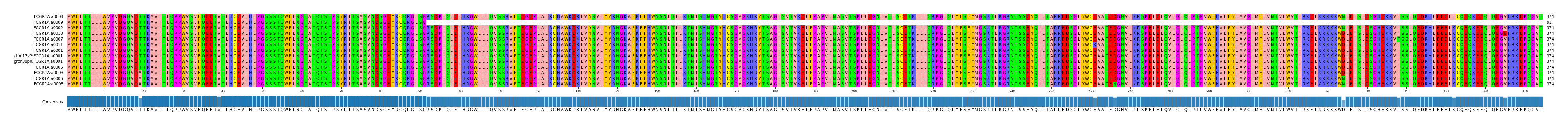 Multiple Alignments (by translate haplotype similarity)