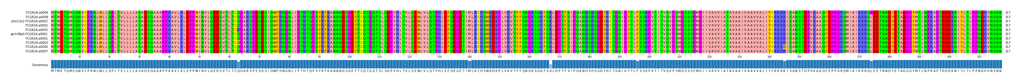 Multiple Alignments (by translate haplotype similarity)