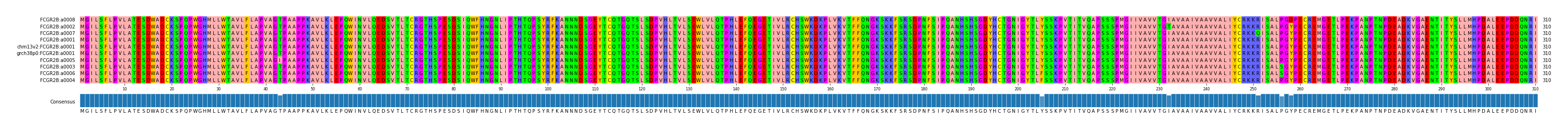 Multiple Alignments (by translate haplotype similarity)