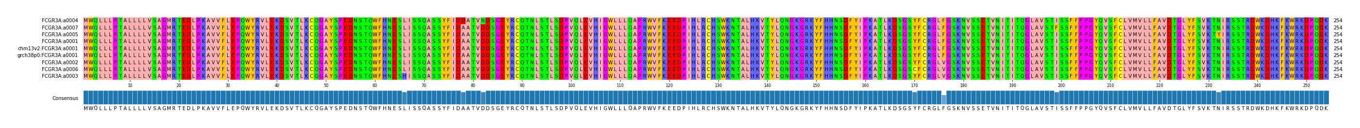 Multiple Alignments (by translate haplotype similarity)