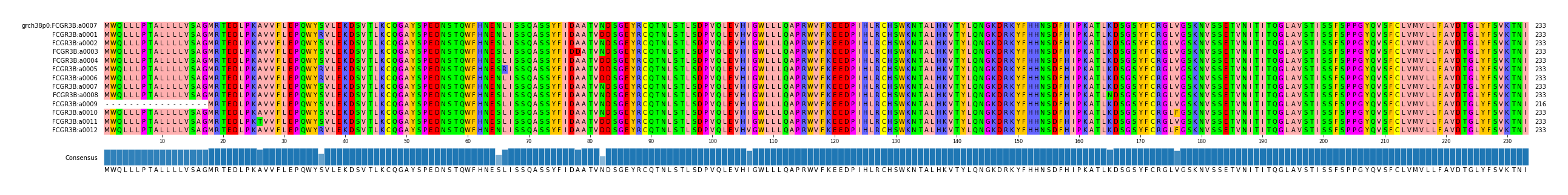 Multiple Alignments (by translate haplotype frequency)