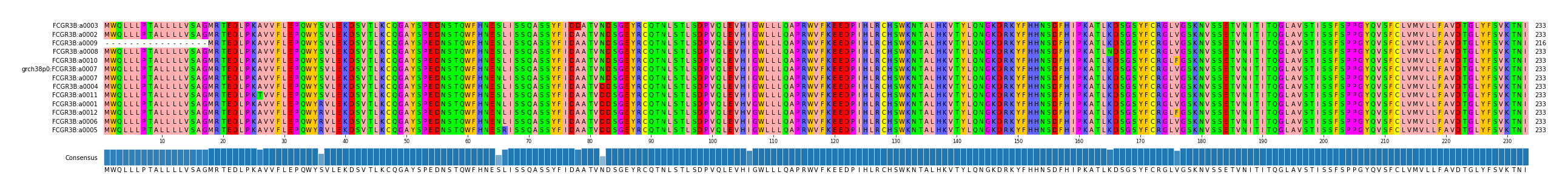 Multiple Alignments (by translate haplotype similarity)