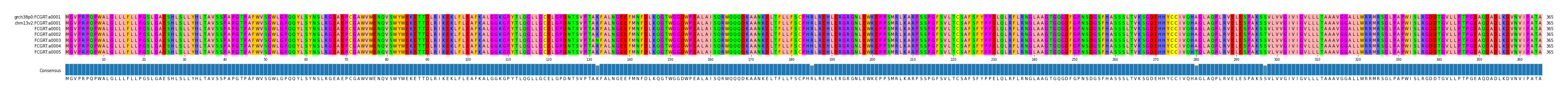 Multiple Alignments (by translate haplotype frequency)