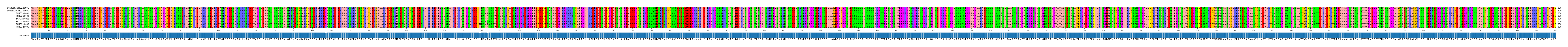 Multiple Alignments (by translate haplotype frequency)