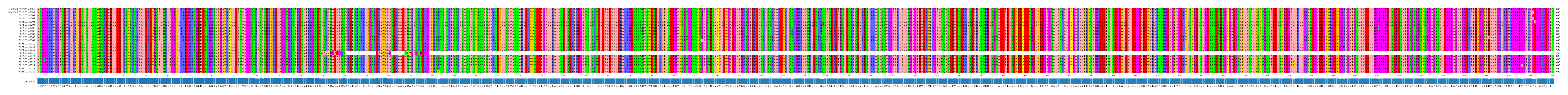 Multiple Alignments (by translate haplotype frequency)