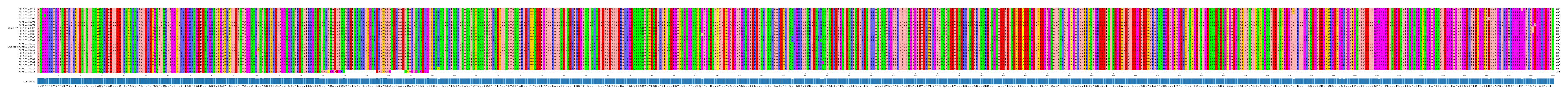 Multiple Alignments (by translate haplotype similarity)