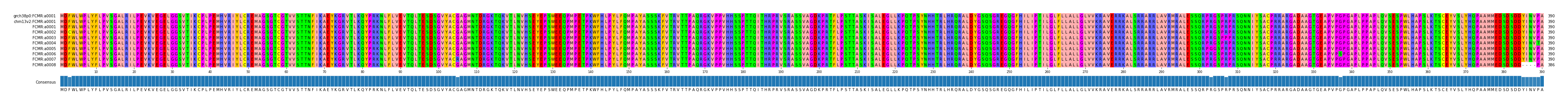 Multiple Alignments (by translate haplotype frequency)
