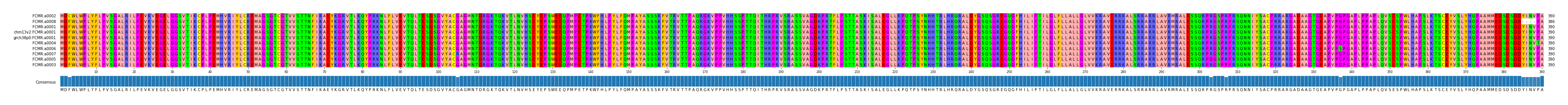 Multiple Alignments (by translate haplotype similarity)