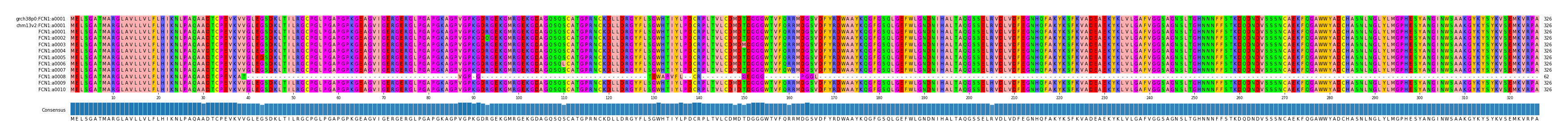 Multiple Alignments (by translate haplotype frequency)