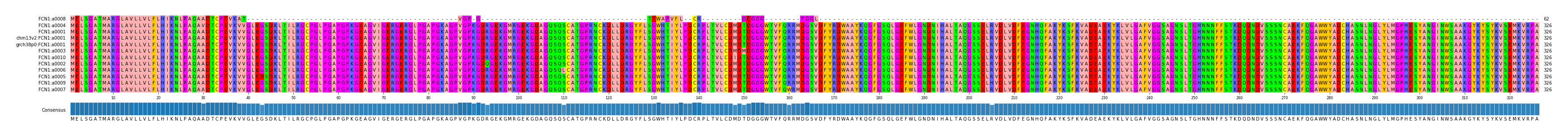 Multiple Alignments (by translate haplotype similarity)