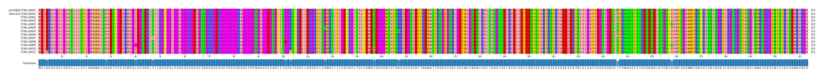 Multiple Alignments (by translate haplotype frequency)