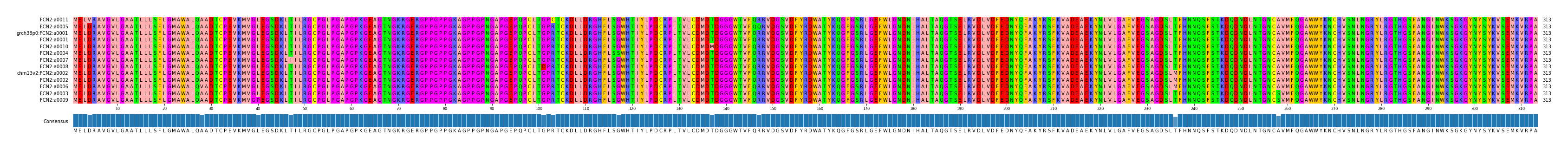 Multiple Alignments (by translate haplotype similarity)