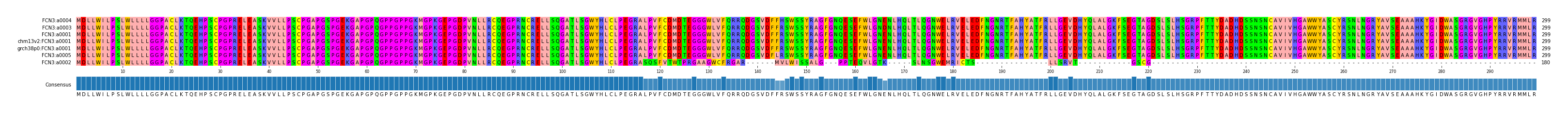 Multiple Alignments (by translate haplotype similarity)