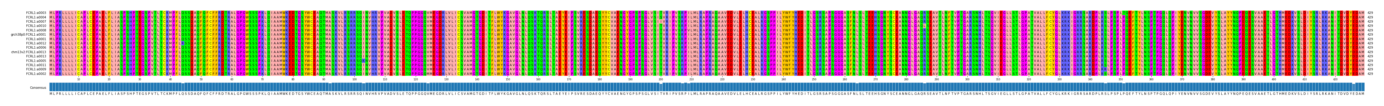 Multiple Alignments (by translate haplotype similarity)
