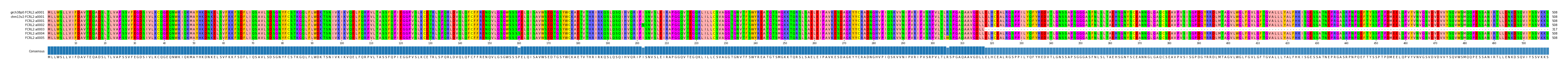 Multiple Alignments (by translate haplotype frequency)