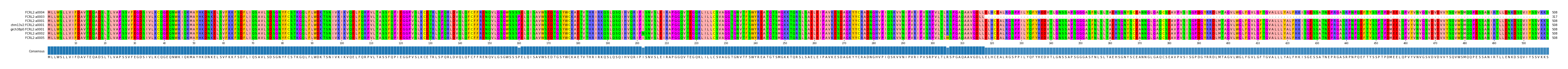Multiple Alignments (by translate haplotype similarity)