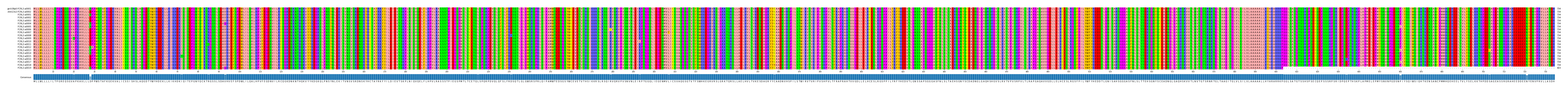 Multiple Alignments (by translate haplotype frequency)