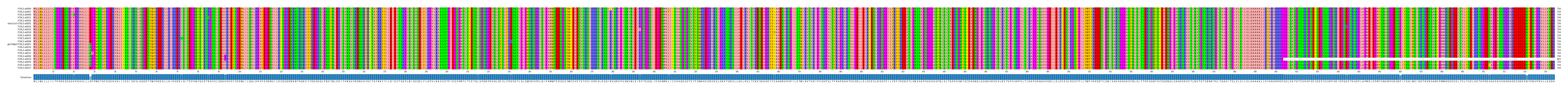 Multiple Alignments (by translate haplotype similarity)