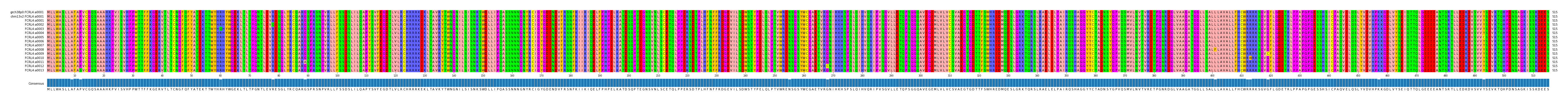 Multiple Alignments (by translate haplotype frequency)