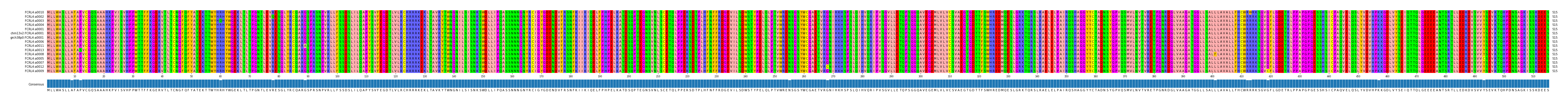 Multiple Alignments (by translate haplotype similarity)