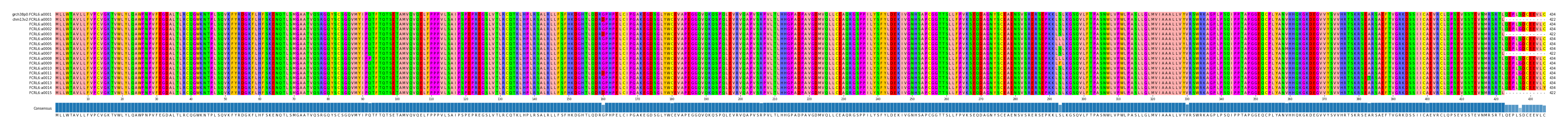 Multiple Alignments (by translate haplotype frequency)