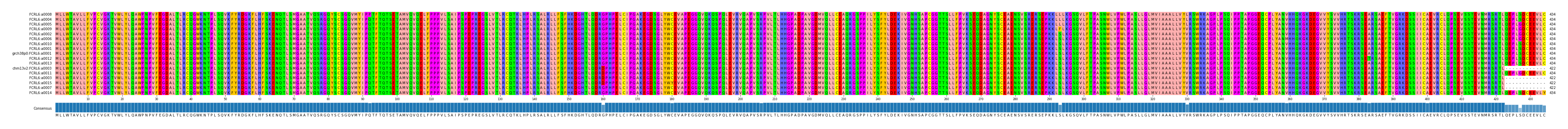 Multiple Alignments (by translate haplotype similarity)