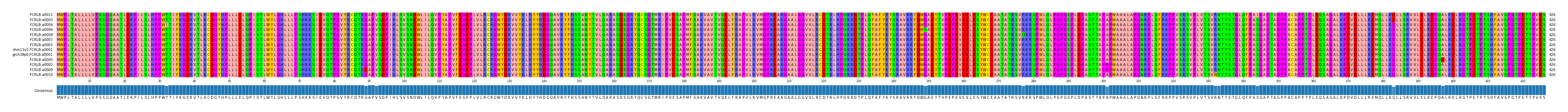 Multiple Alignments (by translate haplotype similarity)