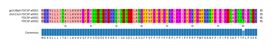 Multiple Alignments (by translate haplotype frequency)