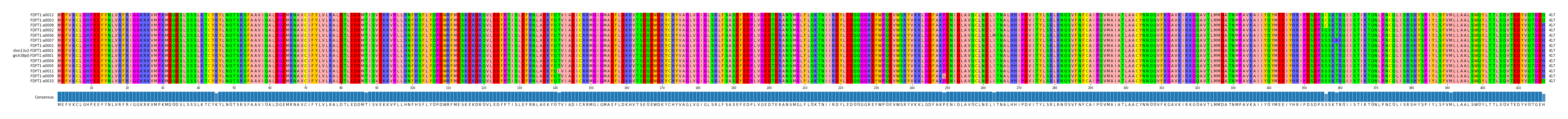 Multiple Alignments (by translate haplotype similarity)