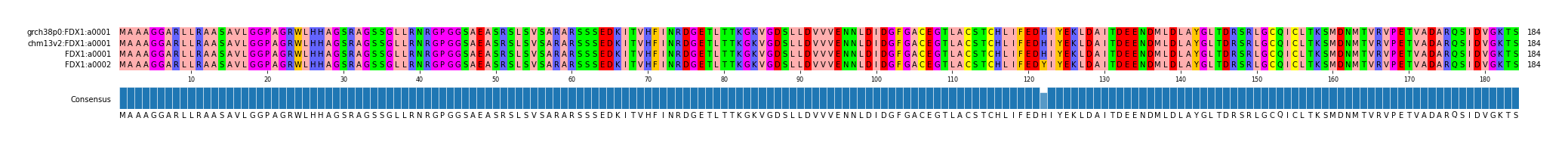 Multiple Alignments (by translate haplotype similarity)