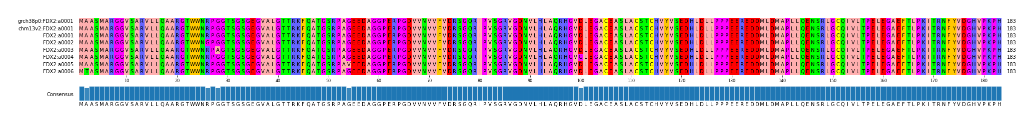 Multiple Alignments (by translate haplotype frequency)