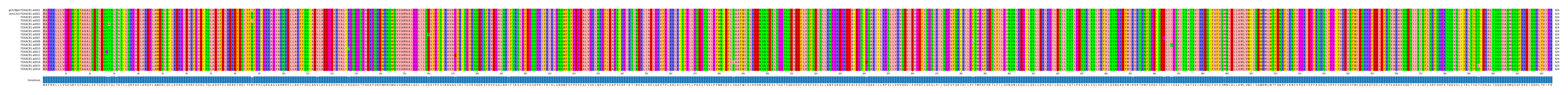 Multiple Alignments (by translate haplotype frequency)