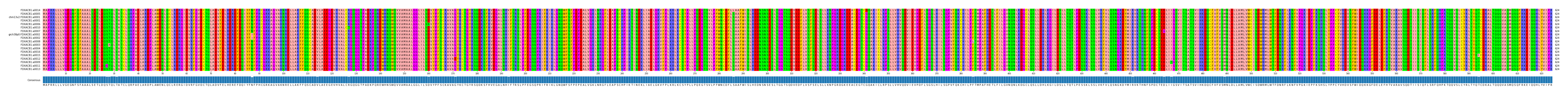 Multiple Alignments (by translate haplotype similarity)