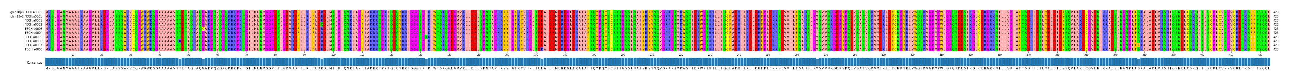 Multiple Alignments (by translate haplotype frequency)