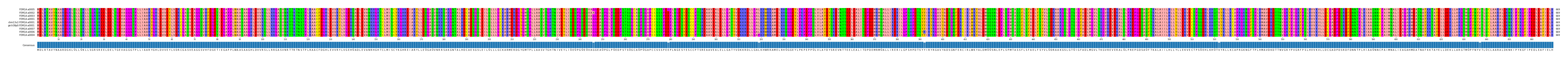 Multiple Alignments (by translate haplotype similarity)