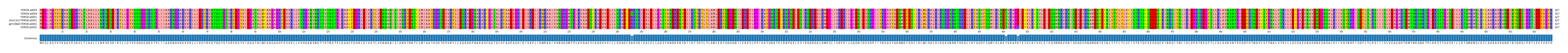 Multiple Alignments (by translate haplotype similarity)