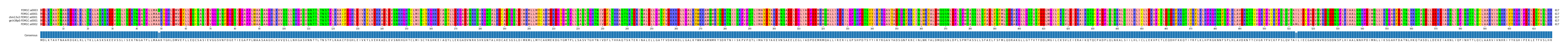 Multiple Alignments (by translate haplotype similarity)