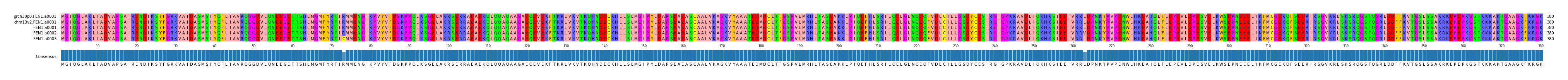 Multiple Alignments (by translate haplotype frequency)