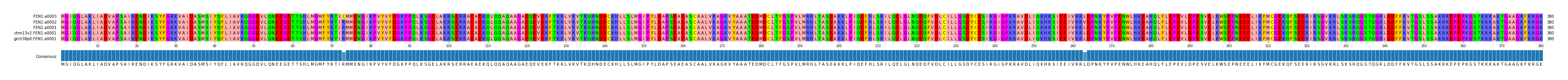 Multiple Alignments (by translate haplotype similarity)