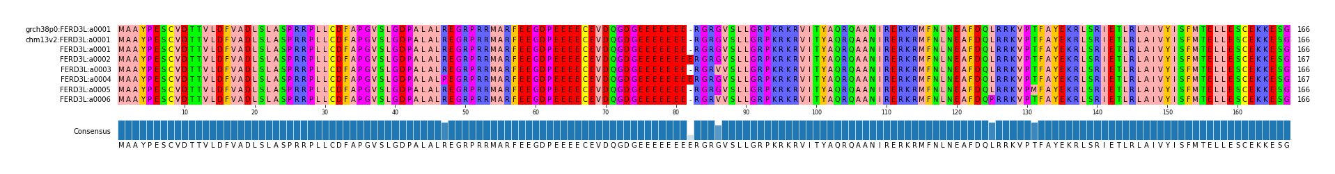 Multiple Alignments (by translate haplotype frequency)