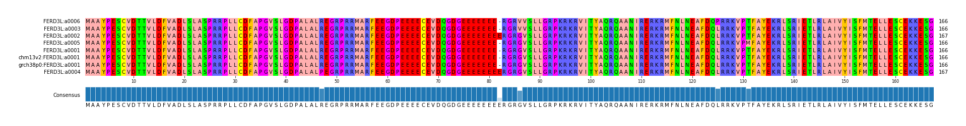 Multiple Alignments (by translate haplotype similarity)