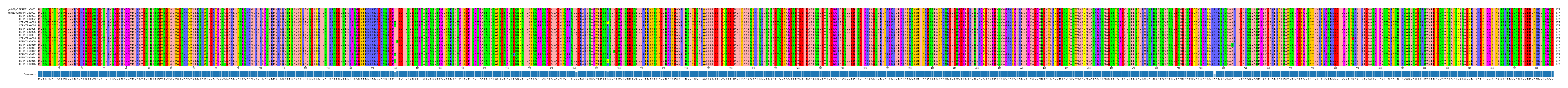 Multiple Alignments (by translate haplotype frequency)